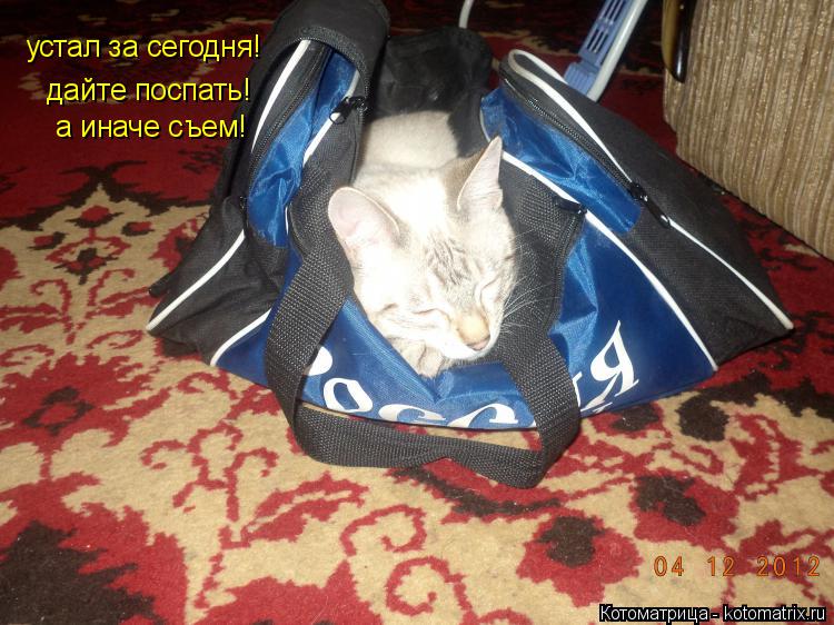 Котоматрица: устал за сегодня!  дайте поспать!  а иначе съем!