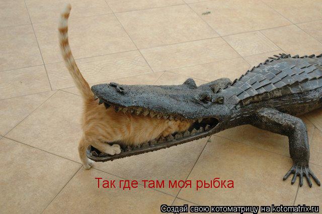 Котоматрица: Так где там моя рыбка