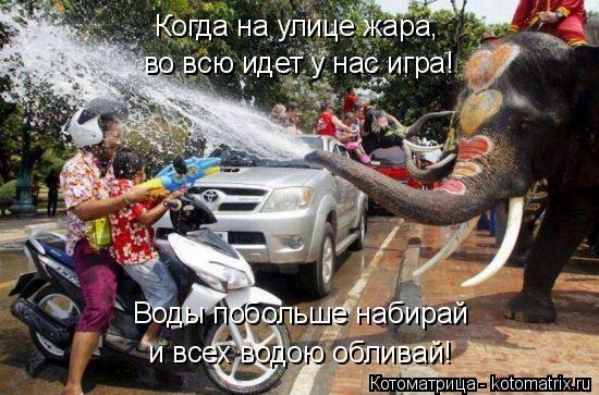 Котоматрица: Когда на улице жара, во всю идет у нас игра! Воды побольше набирай  и всех водою обливай!
