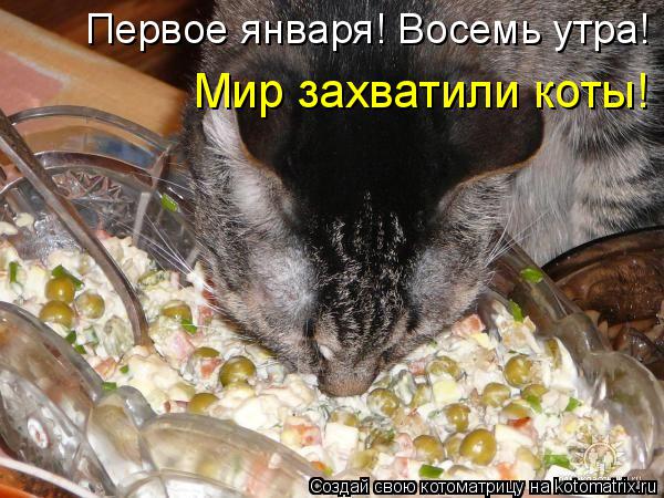Котоматрица: Первое января! Восемь утра! Мир захватили коты!