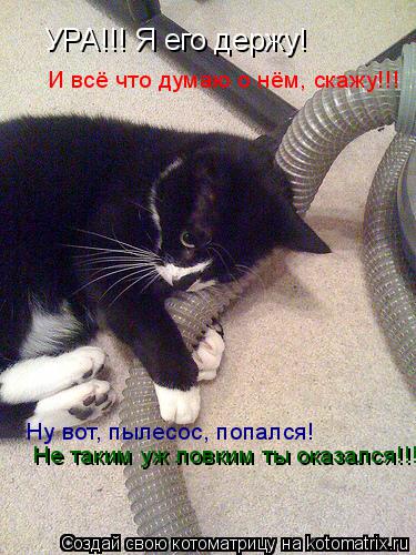 Котоматрица: УРА!!! Я его держу! И всё что думаю о нём, скажу!!! Ну вот, пылесос, попался! Не таким уж ловким ты оказался!!!