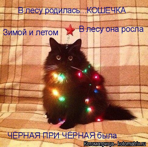 Котоматрица: В лесу родилась...КОШЕЧКА В лесу она росла Зимой и летом ЧЁРНАЯ ПРИ ЧЁРНАЯ была