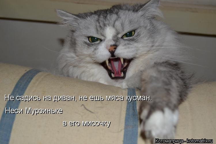 Котоматрица: Не садись на диван, не ешь мяса кусман. Неси Мурзиньке в его мисочку