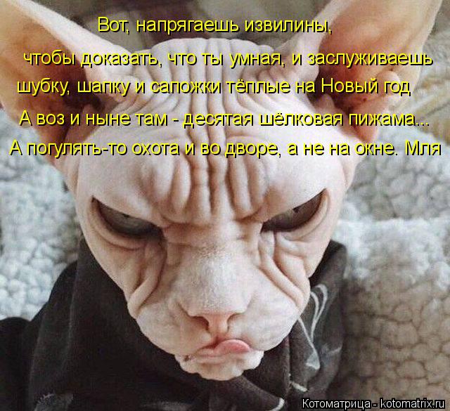 Котоматрица: Вот, напрягаешь извилины, чтобы доказать, что ты умная, и заслуживаешь  шубку, шапку и сапожки тёплые на Новый год А воз и ныне там - десятая ш