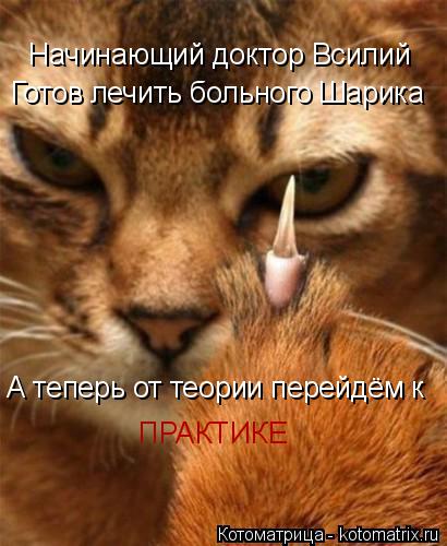 Котоматрица: ПРАКТИКЕ Начинающий доктор Всилий Готов лечить больного Шарика А теперь от теории перейдём к