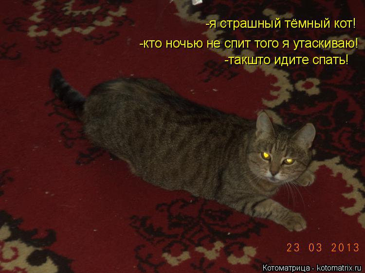 Котоматрица: -я страшный тёмный кот! -кто ночью не спит того я утаскиваю! -такшто идите спать!