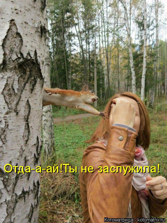 Котоматрица: Отда-а-ай!Ты не заслужила!