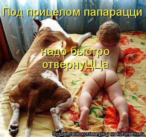 Котоматрица: Под прицелом папарацци надо быстро отвернуЦЦа