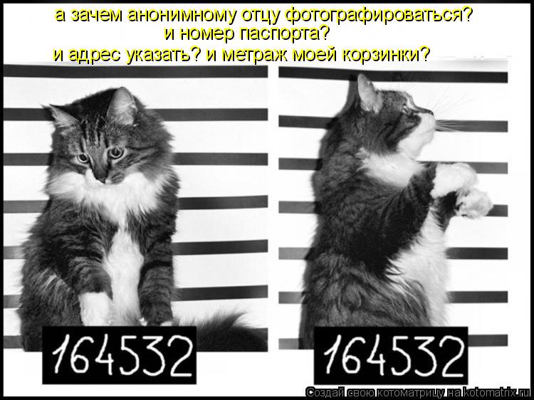 Котоматрица: а зачем анонимному отцу фотографироваться?  и номер паспорта? и адрес указать? и метраж моей корзинки?