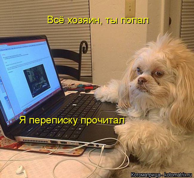 Котоматрица: Всё хозяин, ты попал Я переписку прочитал