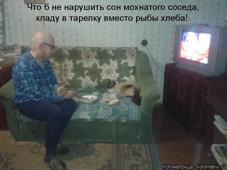 Котоматрица: Что б не нарушить сон мохнатого соседа,  кладу в тарелку вместо рыбы хлеба!