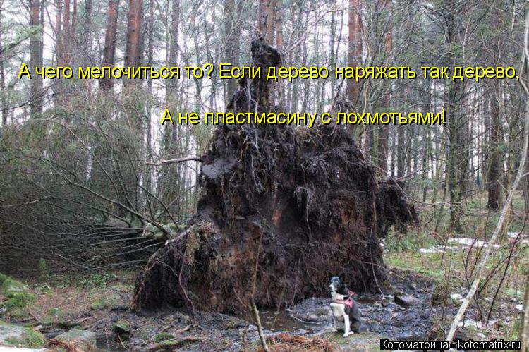 Котоматрица: А чего мелочиться то? Если дерево наряжать так дерево, А не пластмасину с лохмотьями!