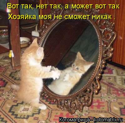 Котоматрица: Вот так, нет так, а может вот так Хозяйка моя не сможет никак .
