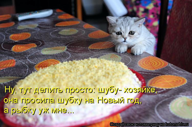 Котоматрица: Ну, тут делить просто: шубу- хозяйке, она просила шубку на Новый год,  а рыбку уж мне...