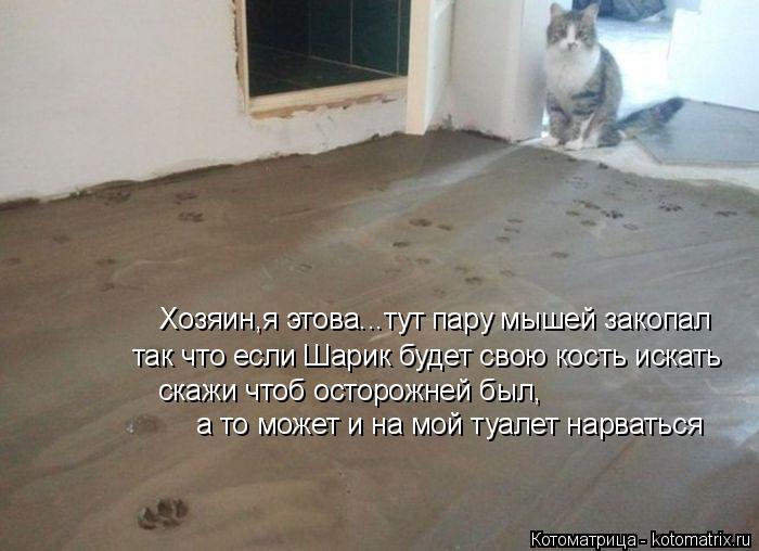 Котоматрица: Хозяин,я этова...тут пару мышей закопал так что если Шарик будет свою кость искать  скажи чтоб осторожней был, а то может и на мой туалет нарв