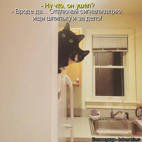 Котоматрица: - Ну что, он ушёл? - Вроде да... Отключай сигнализацию, ищи шпильку и за дело!