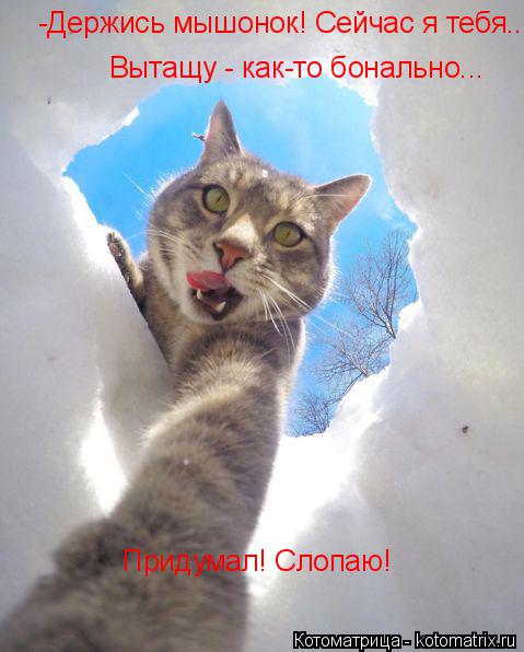 Котоматрица: -Держись мышонок! Сейчас я тебя.. Вытащу - как-то бонально... Придумал! Слопаю!