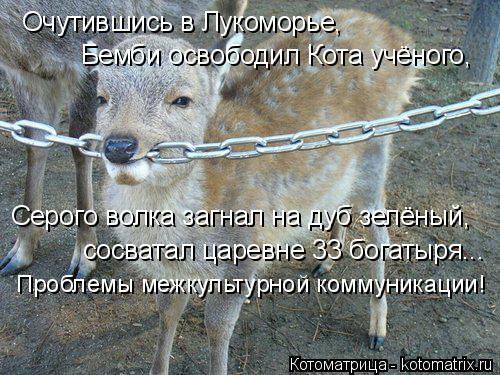 Котоматрица: Серого волка загнал на дуб зелёный, сосватал царевне 33 богатыря... Проблемы межкультурной коммуникации! Очутившись в Лукоморье,   Бемби осво