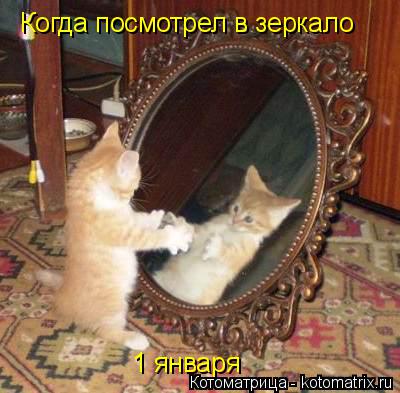Котоматрица: Когда посмотрел в зеркало 1 января