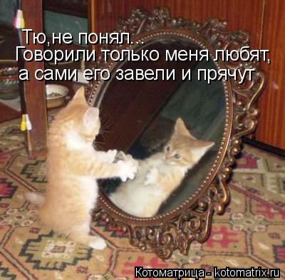 Котоматрица: Тю,не понял... Говорили только меня любят, а сами его завели и прячут