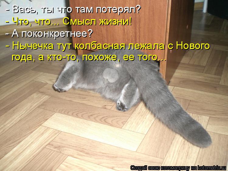 Котоматрица: - Вась, ты что там потерял? - Что, что... Смысл жизни! - А поконкретнее? - Нычечка тут колбасная лежала с Нового  года, а кто-то, похоже, ее того...
