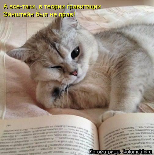 Котоматрица: А все-таки, в теории гравитации  Эйнштейн был не прав!