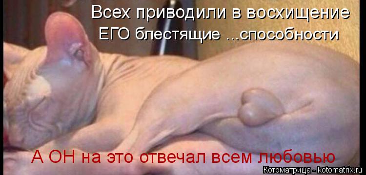 Котоматрица: Всех приводили в восхищение ЕГО блестящие ...способности А ОН на это отвечал всем любовью