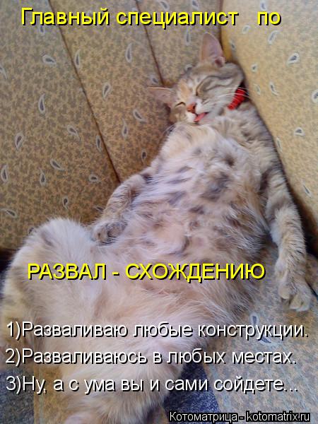 РАЗВАЛ - СХОЖДЕНИЮ 1)Разваливаю любые конструкции. 2)Разваливаюсь в любых местах. 3)Ну, а с ума вы и ... Котоматрица: РАЗВАЛ - СХОЖДЕНИЮ 1)Разваливаю любые конструкции. 2)Разваливаюсь в любых местах. 3)Ну, а с ума вы и сами сойдете... Главный специалист по