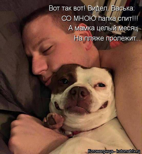 Котоматрица: Вот так вот! Видел, Васька: СО МНОЮ папка спит!!! А мамка целый месяц На пляже пролежит...