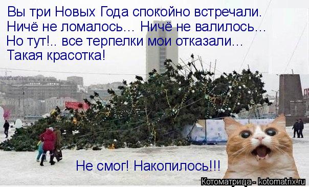 Вы три Новых Года спокойно встречали. Ничё не ломалось… Ничё не валилось… Но тут!.. все терпелки мои ... Котоматрица: Вы три Новых Года спокойно встречали. Ничё не ломалось… Ничё не валилось… Но тут!.. все терпелки мои отказали… Такая красотка! Не смог! Нак