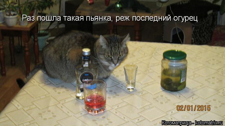 Раз пошла такая пьянка, реж последний огурец... Котоматрица: Раз пошла такая пьянка, реж последний огурец