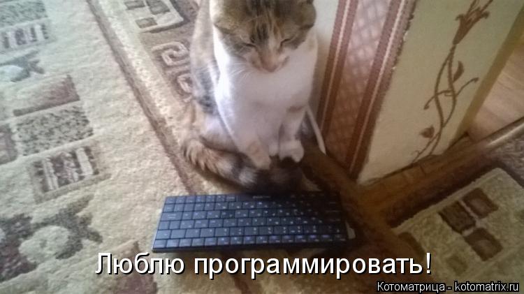 Люблю программировать!... Котоматрица: Люблю программировать!