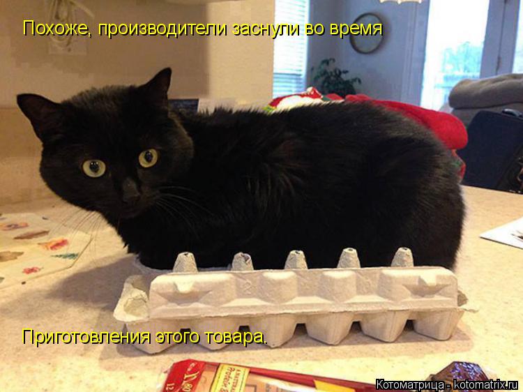 Похоже, производители заснули во время Приготовления этого товара.... Котоматрица: Похоже, производители заснули во время Приготовления этого товара.