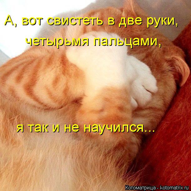А, вот свистеть в две руки, четырьмя пальцами, я так и не научился...... Котоматрица: А, вот свистеть в две руки, четырьмя пальцами, я так и не научился...
