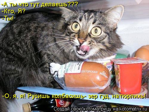 -А ты что тут делаешь??? -Кто, Я? -Ты! -О, я, я! Русишь колбасишь- зер гуд, натюрлихь!... Котоматрица: -А ты что тут делаешь??? -Кто, Я? -Ты! -О, я, я! Русишь колбасишь- зер гуд, натюрлихь!