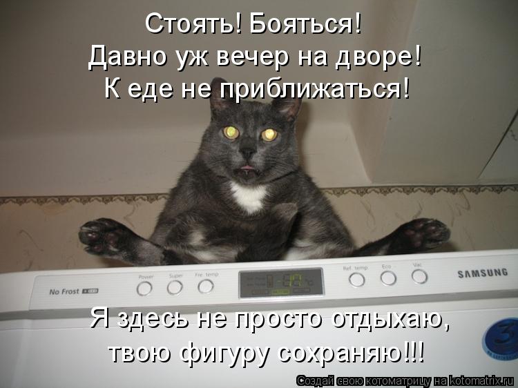 Котоматрица: Стоять! Бояться! К еде не приближаться! Давно уж вечер на дворе! Я здесь не просто отдыхаю, твою фигуру сохраняю!!!