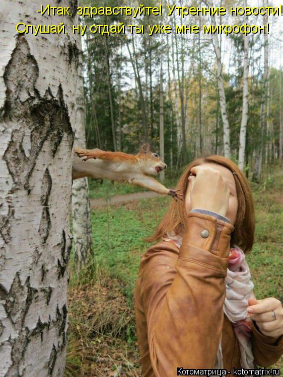 -Итак, здравствуйте! Утренние новости! Слушай, ну отдай ты уже мне микрофон!... Котоматрица: -Итак, здравствуйте! Утренние новости! Слушай, ну отдай ты уже мне микрофон!