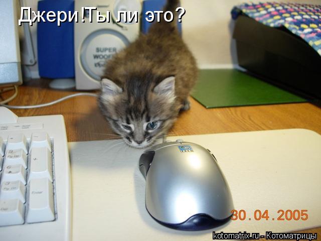 Котоматрица: Джери!Ты ли это?