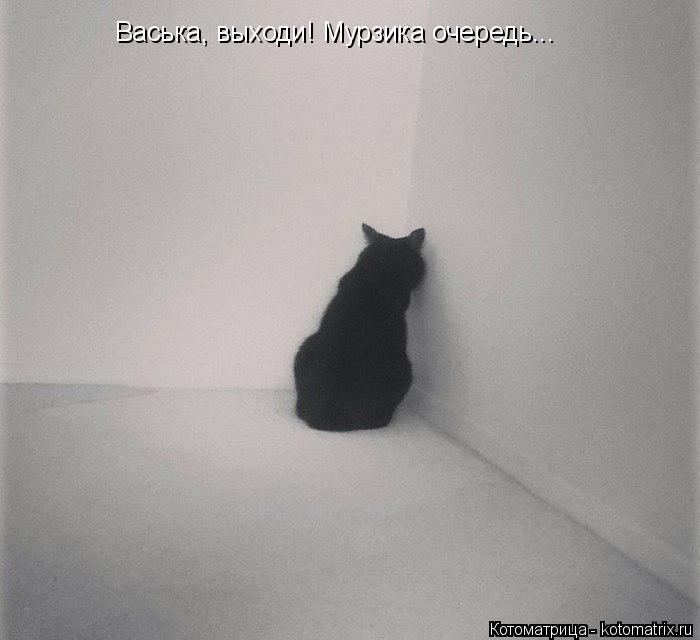 Васька, выходи! Мурзика очередь...... Котоматрица: Васька, выходи! Мурзика очередь...