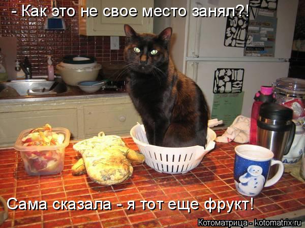 - Как это не свое место занял?! Сама сказала - я тот еще фрукт!... Котоматрица: - Как это не свое место занял?! Сама сказала - я тот еще фрукт!