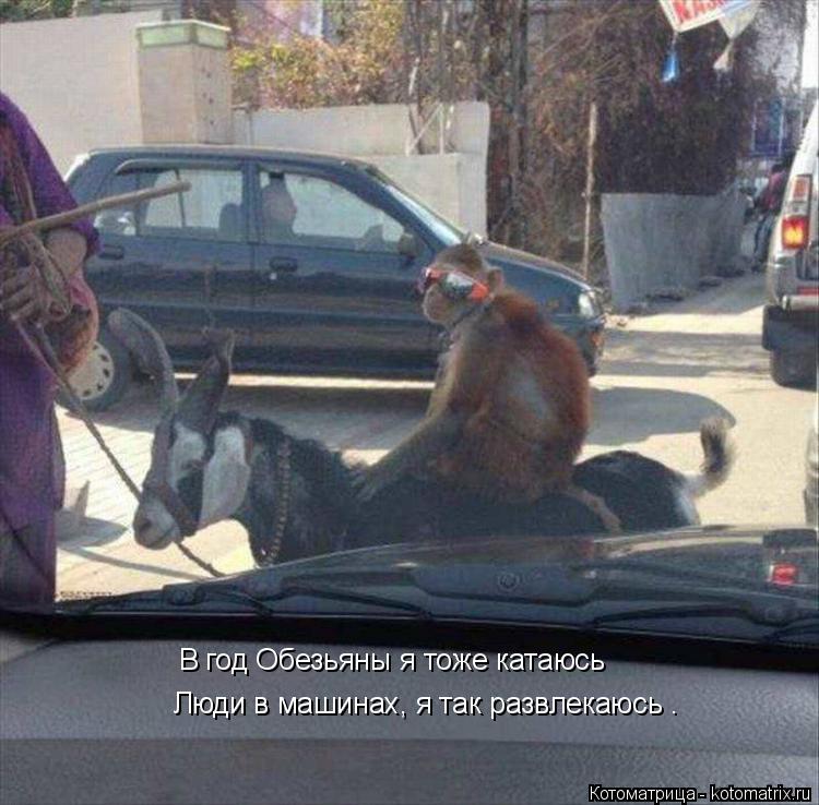 В год Обезьяны я тоже катаюсь Люди в машинах, я так развлекаюсь .... Котоматрица: В год Обезьяны я тоже катаюсь Люди в машинах, я так развлекаюсь .