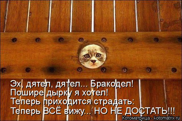 Эх, дятел, дятел... Бракодел! Пошире дырку я хотел! Теперь приходится страдать: Теперь ВСЁ вижу... НО... Котоматрица: Эх, дятел, дятел... Бракодел! Пошире дырку я хотел! Теперь приходится страдать: Теперь ВСЁ вижу... НО НЕ ДОСТАТЬ!!!