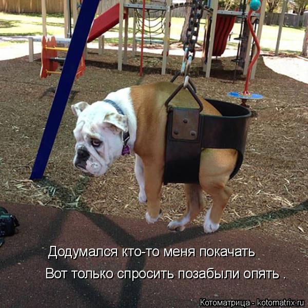 Додумался кто-то меня покачать Вот только спросить позабыли опять .... Котоматрица: Додумался кто-то меня покачать Вот только спросить позабыли опять .
