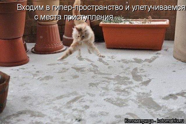 Входим в гипер-пространство и улетучиваемся с места приступления...... Котоматрица: Входим в гипер-пространство и улетучиваемся с места приступления...