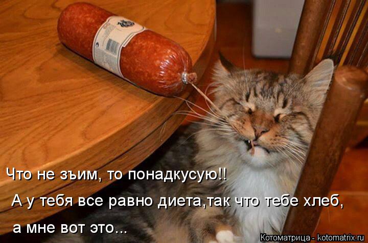 Котоматрица: Что не зъим, то понадкусую!! А у тебя все равно диета,так что тебе хлеб, а мне вот это...