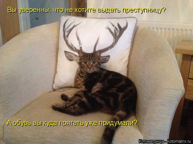 Вы уверенны, что не хотите выдать преступницу? А обувь вы куда прятать уже придумали?... Котоматрица: Вы уверенны, что не хотите выдать преступницу? А обувь вы куда прятать уже придумали?