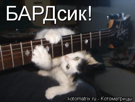 Котоматрица: БАРДсик!