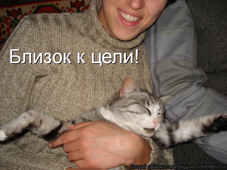 Котоматрица: Близок к цели!