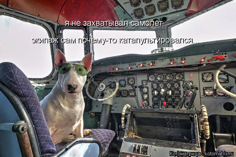 Котоматрица: я не захватывал самолёт, экипаж сам почему-то катапультировался...