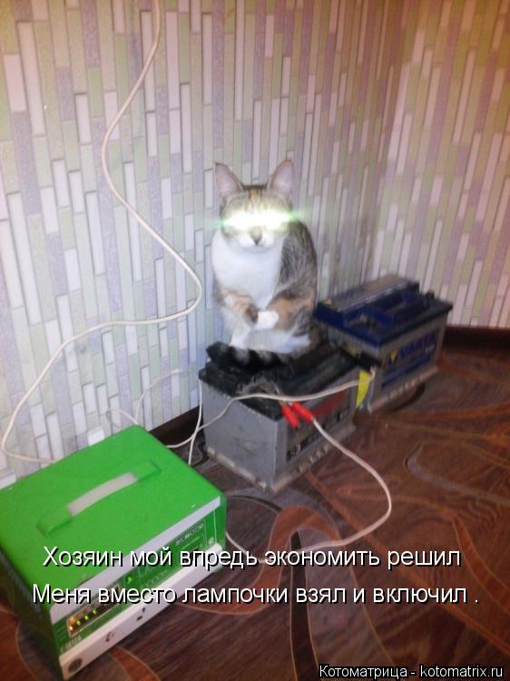 Хозяин мой впредь экономить решил Меня вместо лампочки взял и включил .... Котоматрица: Хозяин мой впредь экономить решил Меня вместо лампочки взял и включил .